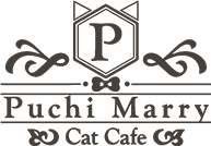 Puchi MarryFor foreign customer. We are Cat Cafe PuchiMarry♡ The Best Cat Cafe Experience in JAPAN.