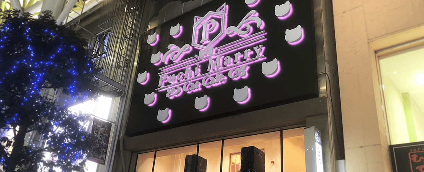 仙台青葉店 - 猫カフェ Puchi Marry（ぷちまりー）