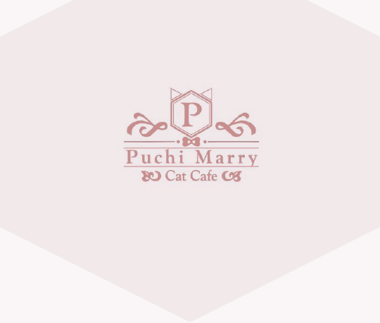 Puchi Marry