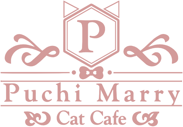 Puchi Marry