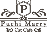 Puchi Marryイオンモールかほく店