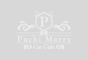 【11/13～11/28】猫カフェPuchiMarry4周年イベント開催👑