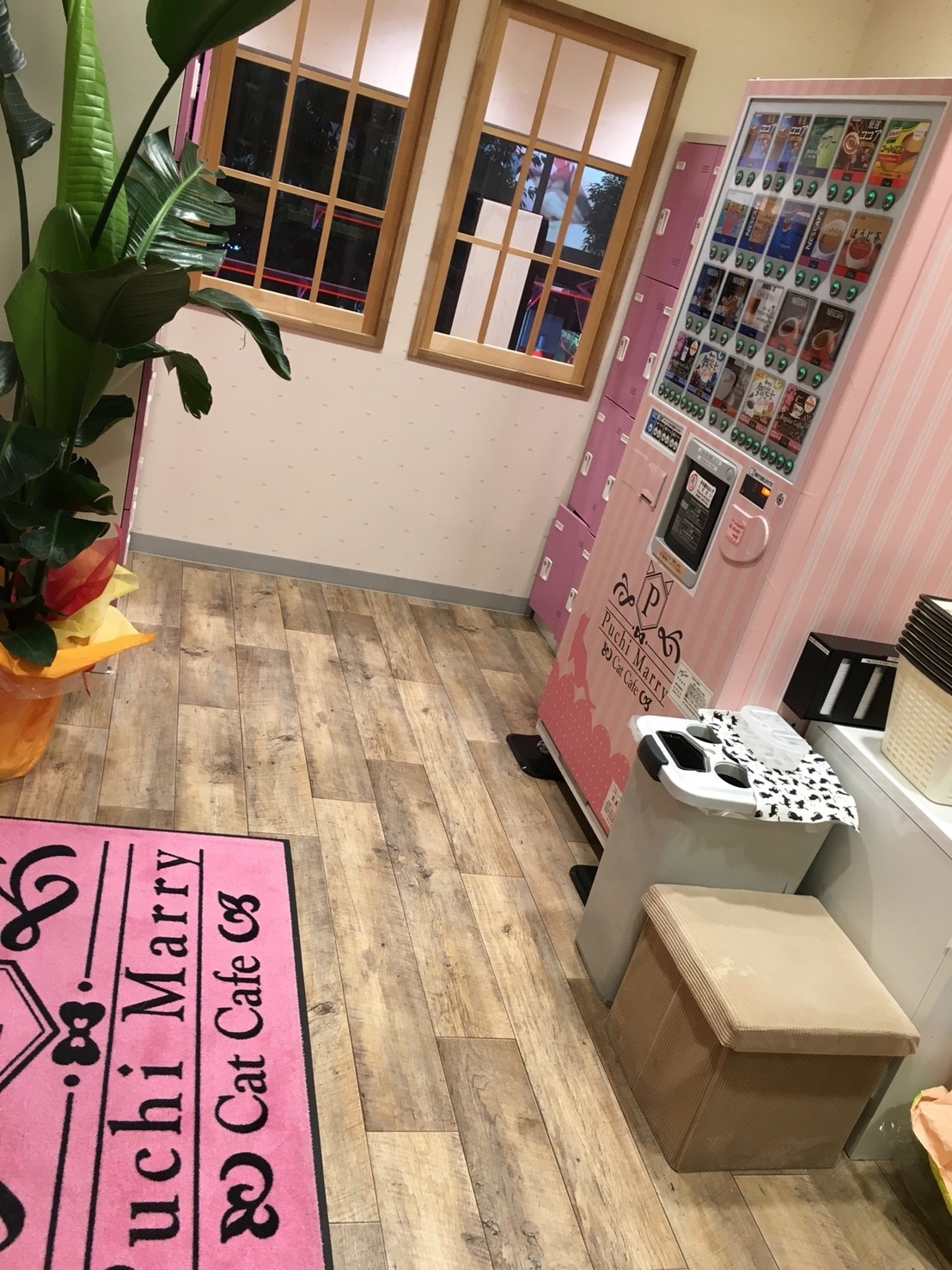 【New Open！】2023年4月1日イオンモール大牟田店オープン！