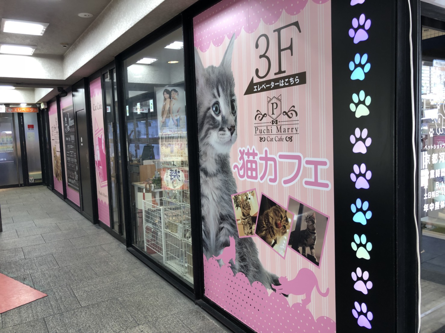 【New Open！】2023年4月1日イオンモール大牟田店オープン！