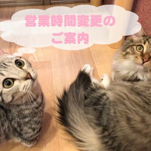 営業時間変更のお知らせ【平成31年1月16日より】
