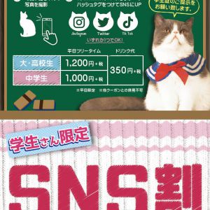 【函館MEGAドン・キホーテ店・熊本下通店・沖縄北谷店】新☆学割キャンペーン開始！！