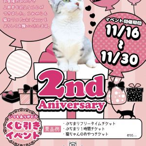 【11/16～11/30】猫カフェPuchiMarry2周年イベント開催！