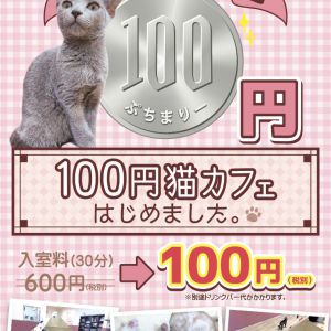 【本日より開催！】函館店限定☆１００円猫カフェキャンペーン！