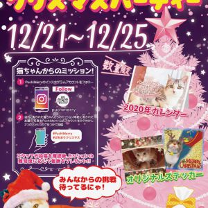 【12/21-12/25】ぷちまりクリスマスパーティ開催☆