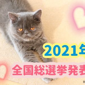 ☆2021年全国総選挙結果発表☆