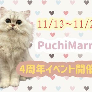【11/13～11/28】猫カフェPuchiMarry4周年イベント開催👑