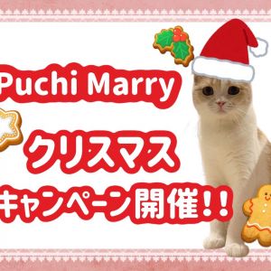 12/11～12/26 クリスマスキャンペーン開催！👑