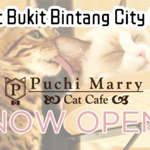 【マレーシア１号店！LaLaport Bukit Bintang City center店オープン✨】