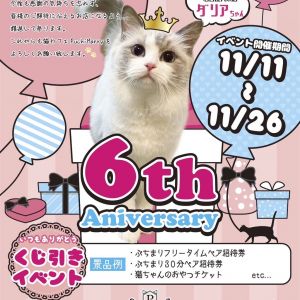 祝🎈PuchiMarry6周年✨イベント開催！