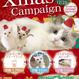 🎅ぷちまりクリスマスイベント開催⛄