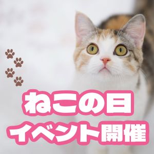 🐾ねこの日イベント開催!!🐾