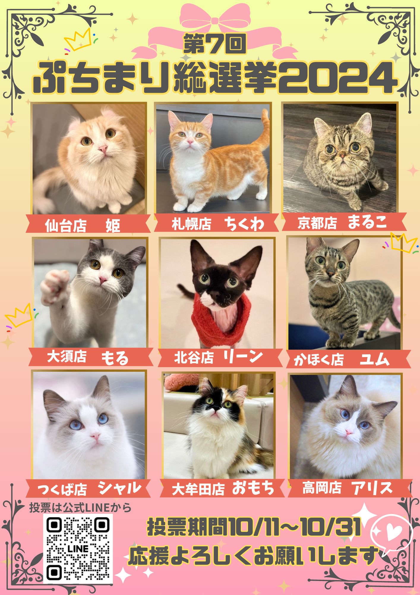 81343242489161d3ffac899f740eba