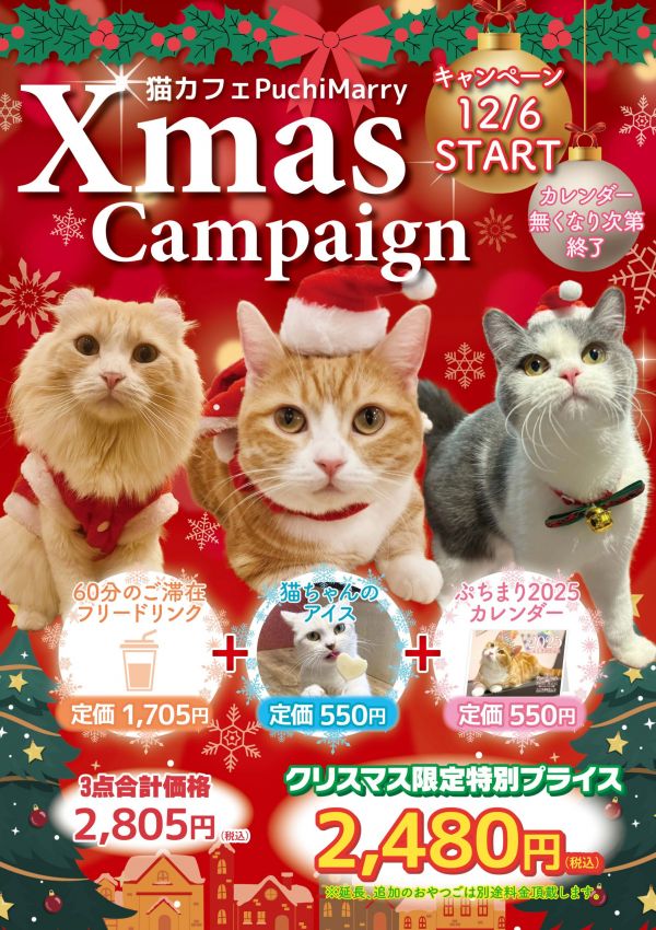 🎄数量限定カレンダー付き🎅クリスマスプラン🎄 - 猫カフェ Puchi