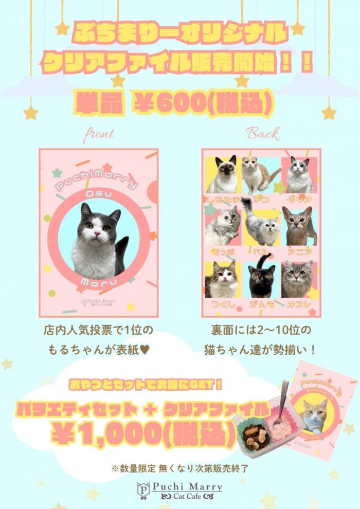🌷クリアファイル販売中🌷 - 猫カフェ Puchi Marry（ぷちまりー）
