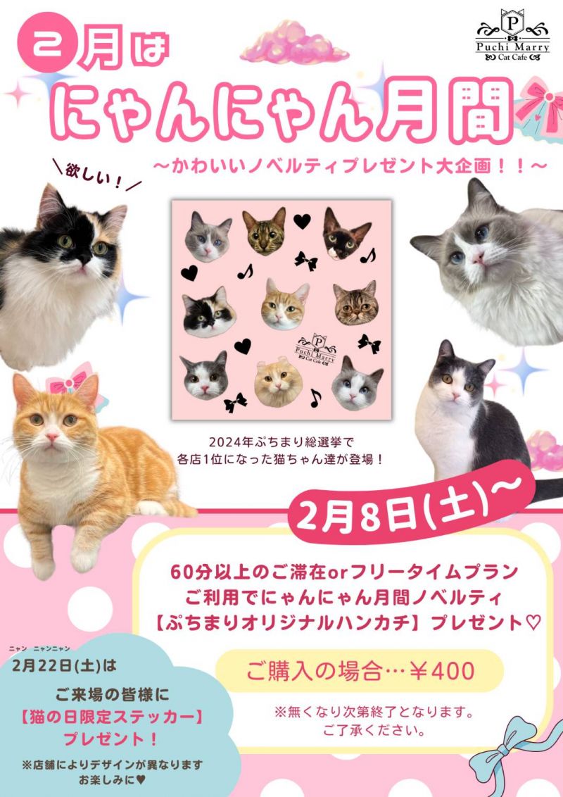 【ねこぷー】4月26日 ×2 🐾2月はにゃんにゃん月間おしらせ🐾 - 猫カフェ Puchi Marry（ぷちまりー）