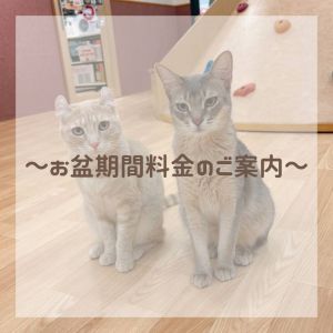 お盆料金のご案内