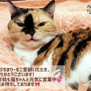 年末年始営業時間のご案内